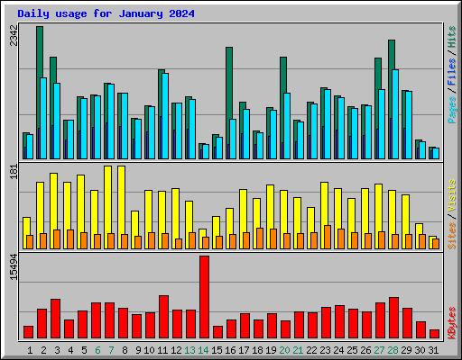 Daily usage for January 2024