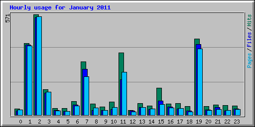 Hourly usage for January 2011