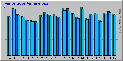 Hourly usage for June 2013