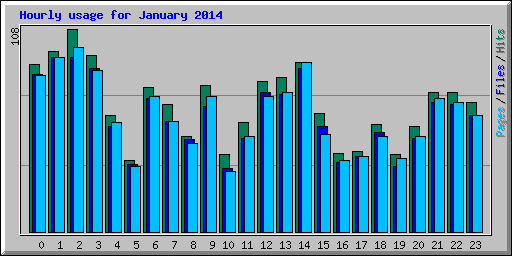 Hourly usage for January 2014