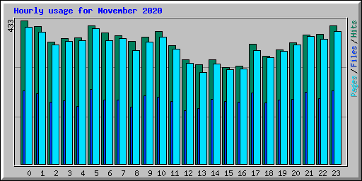 Hourly usage for November 2020