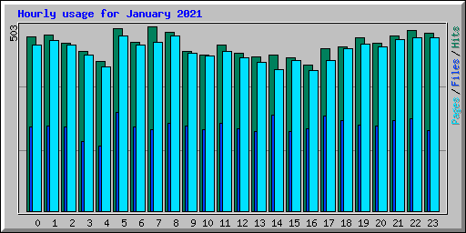 Hourly usage for January 2021