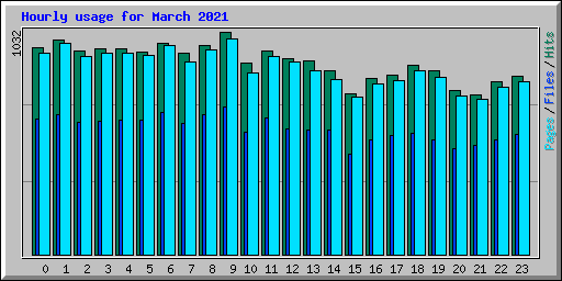 Hourly usage for March 2021