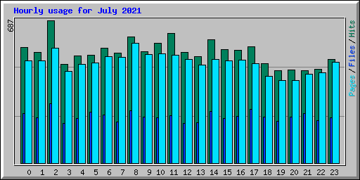 Hourly usage for July 2021