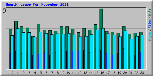 Hourly usage for November 2021