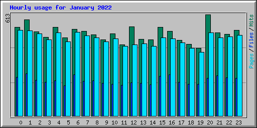 Hourly usage for January 2022