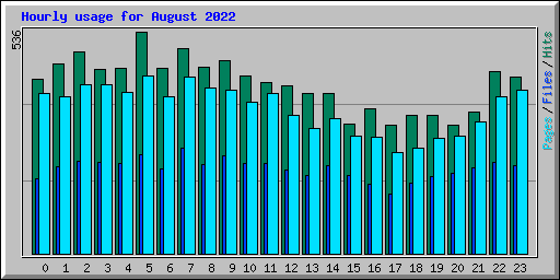 Hourly usage for August 2022