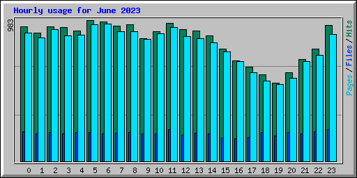 Hourly usage for June 2023