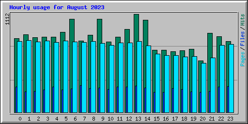 Hourly usage for August 2023
