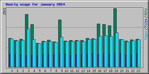 Hourly usage for January 2024