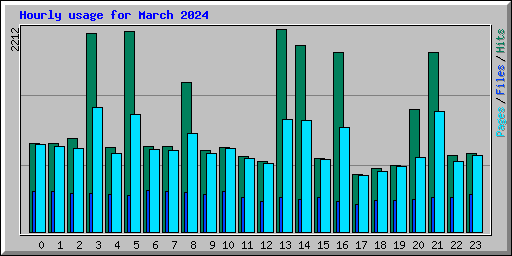 Hourly usage for March 2024