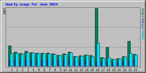 Hourly usage for June 2024