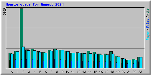 Hourly usage for August 2024