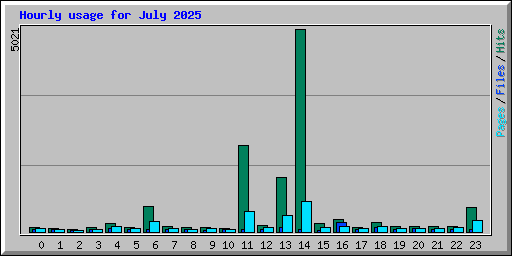 Hourly usage for July 2025