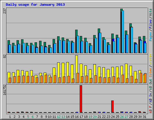 Daily usage for January 2013