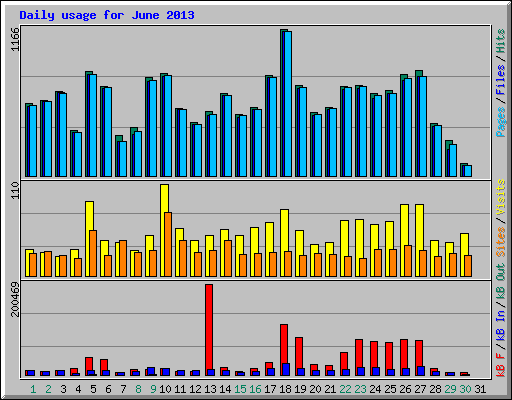 Daily usage for June 2013