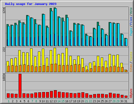 Daily usage for January 2023