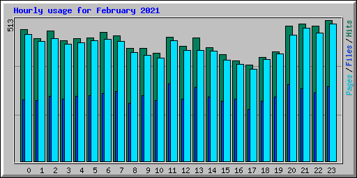 Hourly usage for February 2021