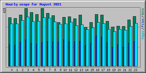 Hourly usage for August 2021