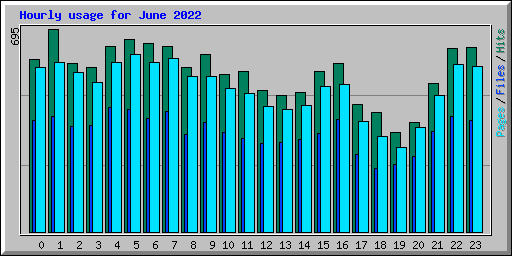Hourly usage for June 2022