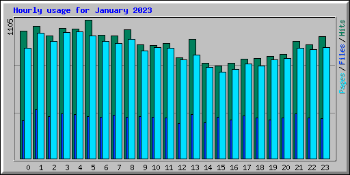 Hourly usage for January 2023