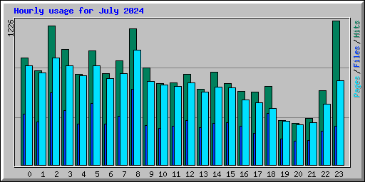 Hourly usage for July 2024