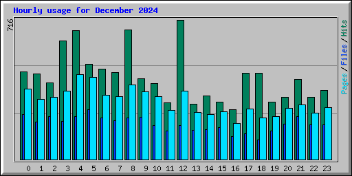 Hourly usage for December 2024